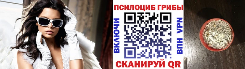 Псилоцибиновые грибы MAGIC MUSHROOMS  закладки  Палласовка 