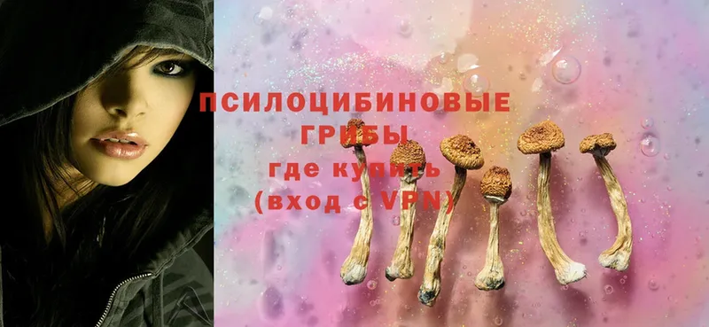 Галлюциногенные грибы MAGIC MUSHROOMS  Палласовка 